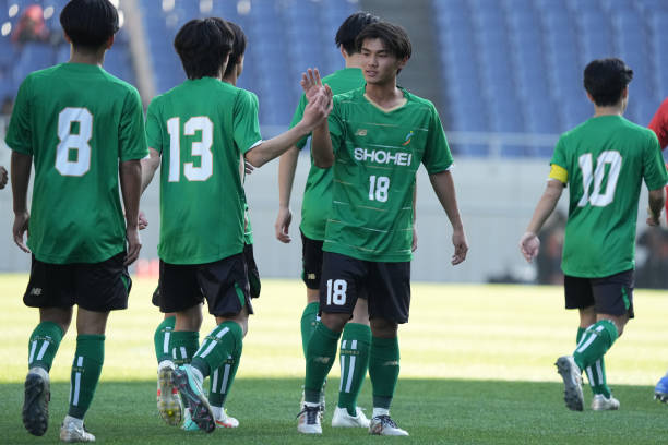 他们相似 他们相似