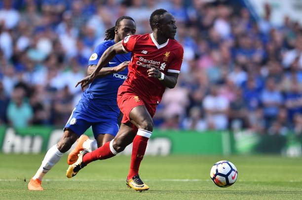 成膝蓋和腳 成膝蓋和腳